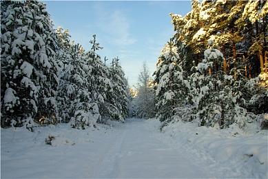 暴雪生存新作被砍 背后原因是引擎技术问题